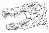 Spinosaurus Coloring Pages Dinosaur Designlooter 437px 88kb sketch template