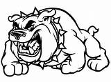 Bulldog Coloring Pages Scary Color Template Popular Tocolor sketch template