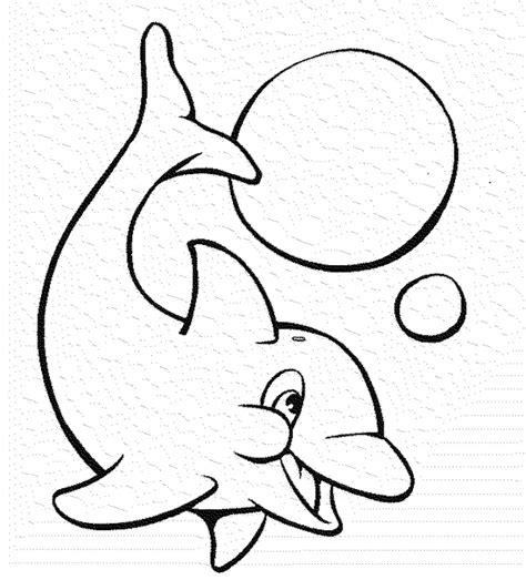 print   experience  making dolphin coloring pages