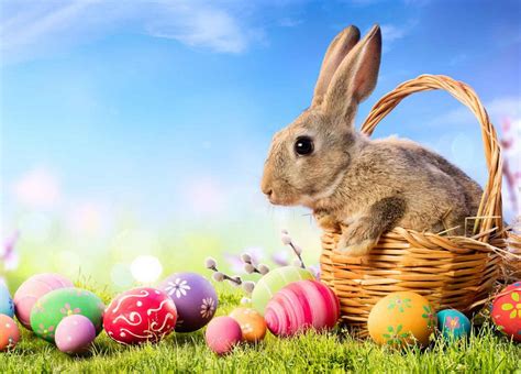 Where Did The Easter Bunny And Easter Eggs Come From Interesting Answers