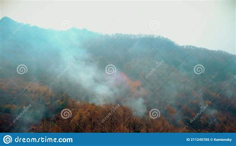 smog  forest fires deforestation  climate crisis toxic haze  rainforest fires stock