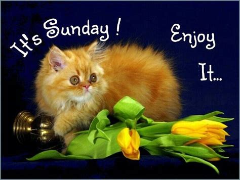 sunday enjoy  pictures   images