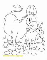 Donkey Coloring Foal Pages Baby Drawing Kids Printable Getdrawings Getcolorings Color Books sketch template