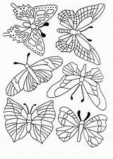 Butterfly Coloring Pages Schmetterling Coloriage Papillon Malvorlagen Zum Vorlage Malvorlage Schmetterlinge Ausmalen Vorlagen Gemerkt Von Coloringpages1001 Symétrie Imprimer Dessin sketch template