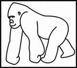 Gorilla Simple Gorillas Paintingvalley Apes Wedrawanimals Webstockreview sketch template