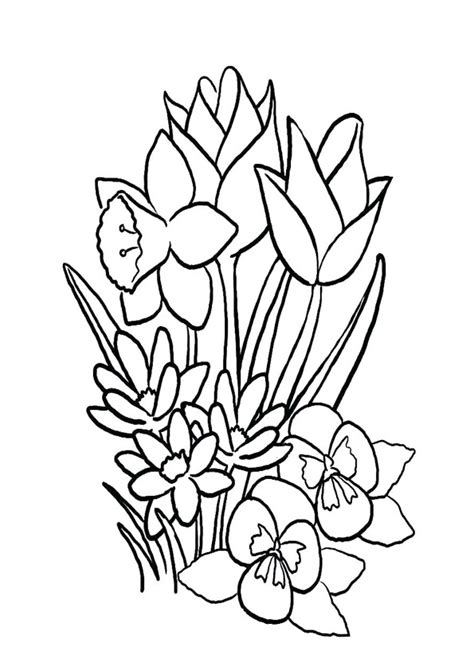 jasmine flower coloring page