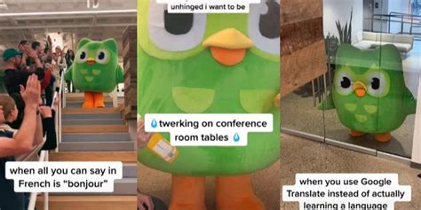 Duolingo’s Mascot Becomes A Tiktok Icon With Hilarious Viral Videos And