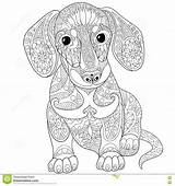 Dog Zentangle Coloring Pages Dachshund Mandala Stylized Dreamstime Stock sketch template