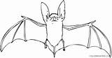 Bat Coloring Outline Online Coloring4free Related Posts sketch template