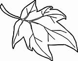 Leaf Leaves Cartoon Coloring Pages Fall Drawing Maple Pumpkin Outline Autumn Jungle Holly Color Clip Simple Kids Drawings Printable Berry sketch template