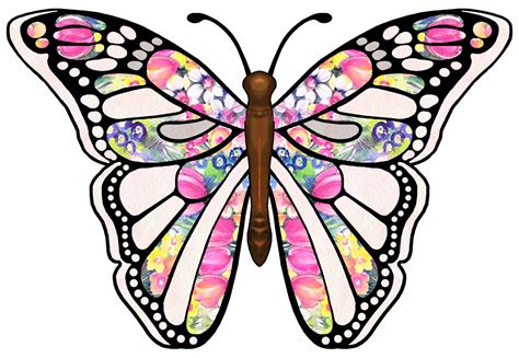 butterfly clip art butterfly clipart graphicsde  clipartix