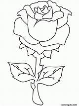 Coloring Pages Rose Printable Print Popular sketch template