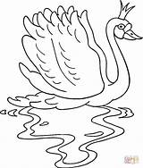 Swan Coloring Pages Princess Lake Swans Printable Color Online Clipart Beautiful Print Popular sketch template