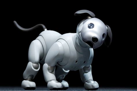 robot dogs capable  forming emotional bonds maker claims