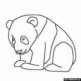 Panda Baby Coloring Pages Bear Drawing Line Cute Pandas Printable Draw Simple Color Kids Clipartbest Them Fresh Nice Gif Animal sketch template