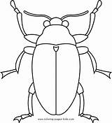 Coloring Bug Beetle Pages Bugs Borer Kids sketch template