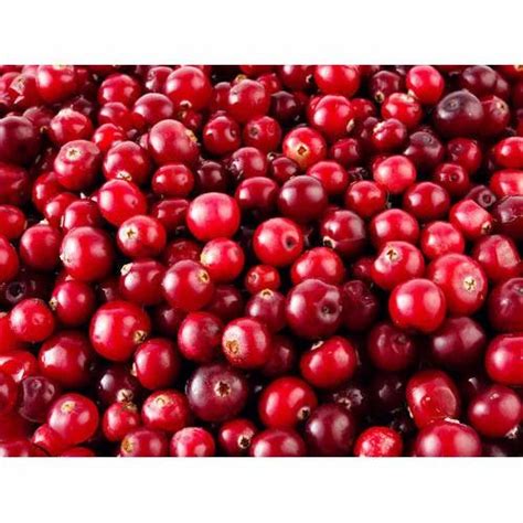 red cranberries  rs kilogram fresh cranberry  delhi id