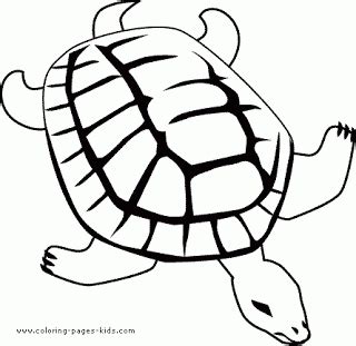 seattle nature preschool lesson plan turtles turtle coloring pages