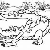 Crocodile Mitraland Crocodiles sketch template