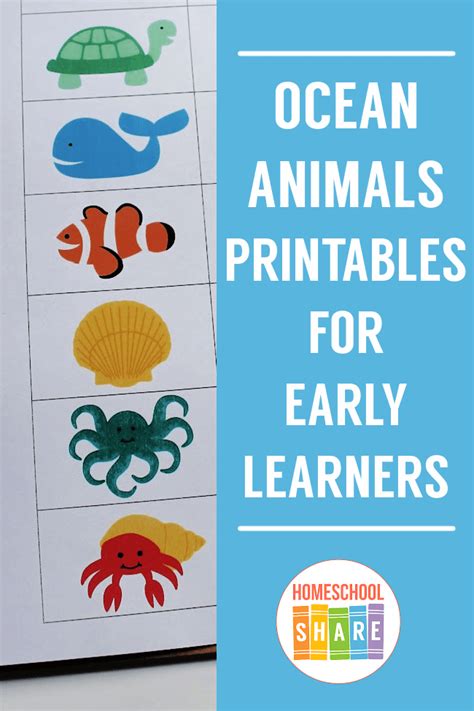 ocean animal printables  preschool kindergarten homeschool