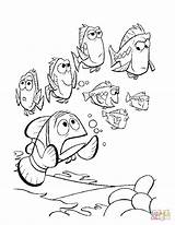 Nemo Colorare Procurando Ausmalbild Fisch Ausdrucken Dory Ausmalbilder Malvorlagen Ricerca Kolorowanki Peixes sketch template