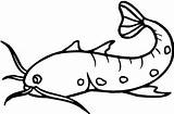 Catfish Drawing Coloring Channel Flathead Clipartmag Step Getdrawings Line Fish Cat Drawings Eel sketch template