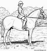 Horse Coloring Pages Color Sheet Printable Realistic Equestrian Derby Kids Stall Print Clipart Book Info sketch template
