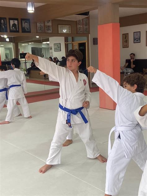 Aula De Karate Shotokan Para Crianças E Adolescentes – Cotia – São