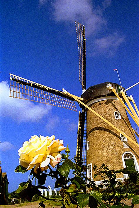 zoutelande netherlands windmills windmill water  picture
