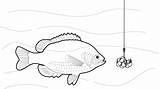 Bait Fish Fishing Lure Clipart Drawing Clip Sketch Beaded Getdrawings Transparent Live Hook Vectors Paintingvalley Webstockreview Collection Premium sketch template