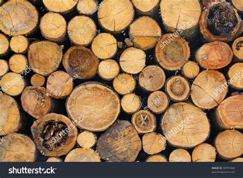 wooden logs stock photo  shutterstock