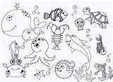 Under Ocean Drawing Sea Coloring Pages Getdrawings sketch template