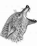 Coloring Wolf Mandalas Mandala Pages Adults Animals Printable Print Topcoloringpages sketch template