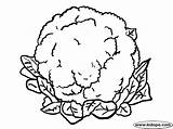 Cauliflower Chou Coliflor Sayur Mewarna Sayuran Bunga Coloriages Vegetable Coliflores Dibujo Kubis sketch template