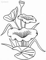 Lily Coloring Pad Pages Stem Drawing Water Printable Kids Flower Cool2bkids Line Clipart Colouring Color Getcolorings Plant Getdrawings Choose Board sketch template