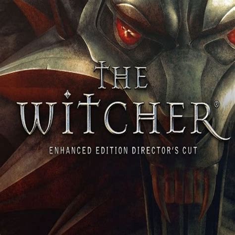 The Witcher Enhanced Edition Director S Cut Buy In India
