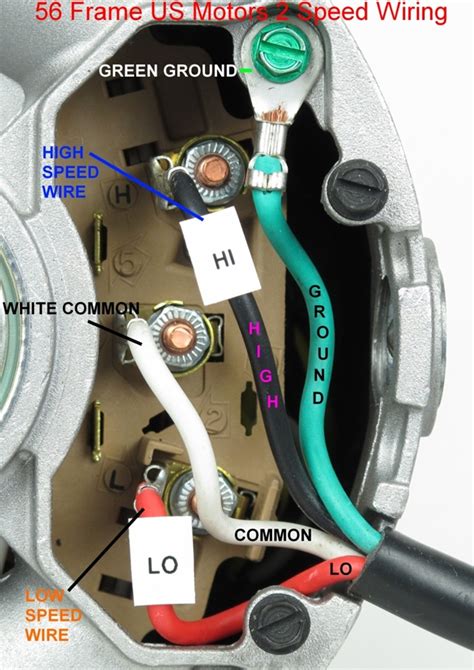 gecko xp wiring diagram