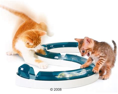 Cat Ball Track Archives Kitty Toys Kitty Toys