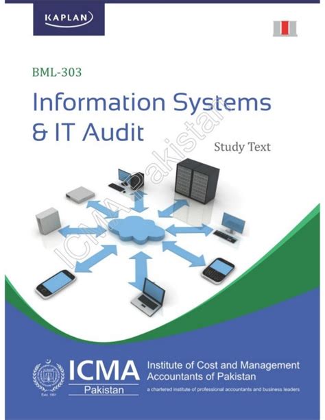 information systems  audit bml