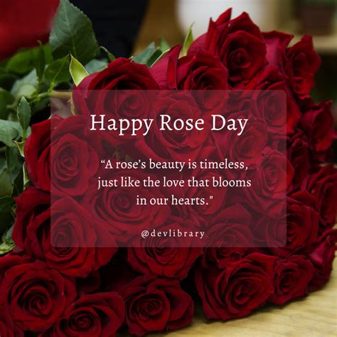 heartfelt rose day wishes quotes images status wallpapers