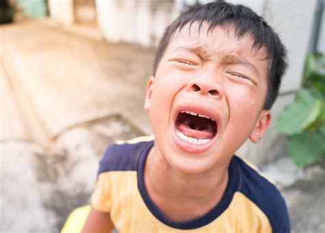 relentless tantrums dealing   strong willed child hospitality