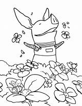 Olivia Coloring Pig Pages Garden Flower Getcolorings Getdrawings Netart Printable Print Color sketch template