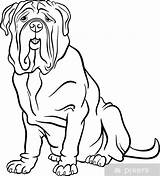 Coloring Mastiff Dog Pages Cartoon Neapolitan Hound Vector Illustration Clipart Cute Purebred Clipartmag Stock Designlooter Drawing Getdrawings Getcolorings Choose Board sketch template