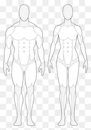 clipart human body silhouette png  transparent png clipart