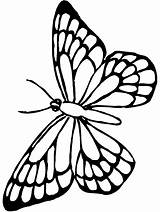 Coloring Butterfly Pages Simple Printable Butterflies Kids Monarch Fun sketch template