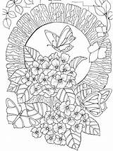 Therapy Coloring Pages Books Colouring Adult Mandala Relaxation Color Book Flower Drawing Printable Butterfly Print Detailed Watercolor Kids Colour sketch template
