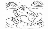 Frog Coloring Pages Tadpole Cycle Life Kids Frogs Printable Leap Color Print Adult Drawing Toad Colouring Poison Dart Getdrawings Getcolorings sketch template