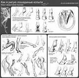 Horse Drawing Tutorial Hooves Deviantart Hoof Anatomy Drawings Reference Animal Horses Animals Sketch Draw Anime Tutorials References Leg Visit Foot sketch template