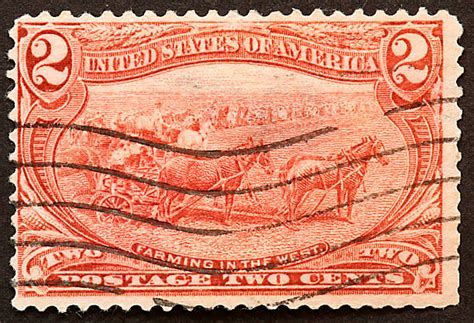 horse drawn plow  stock  pictures royalty  images