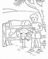 Coloring Boys Pages Kids Cow Boy Feeding Sheets Printable Activity Book Colouring Farm Activities Embroidery Cows Hand Popular Young Other sketch template